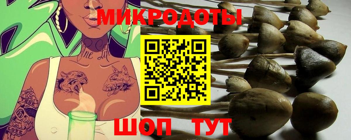 Мурино  Галлюциногенные грибы Psilocybe  Вход с VPN 
